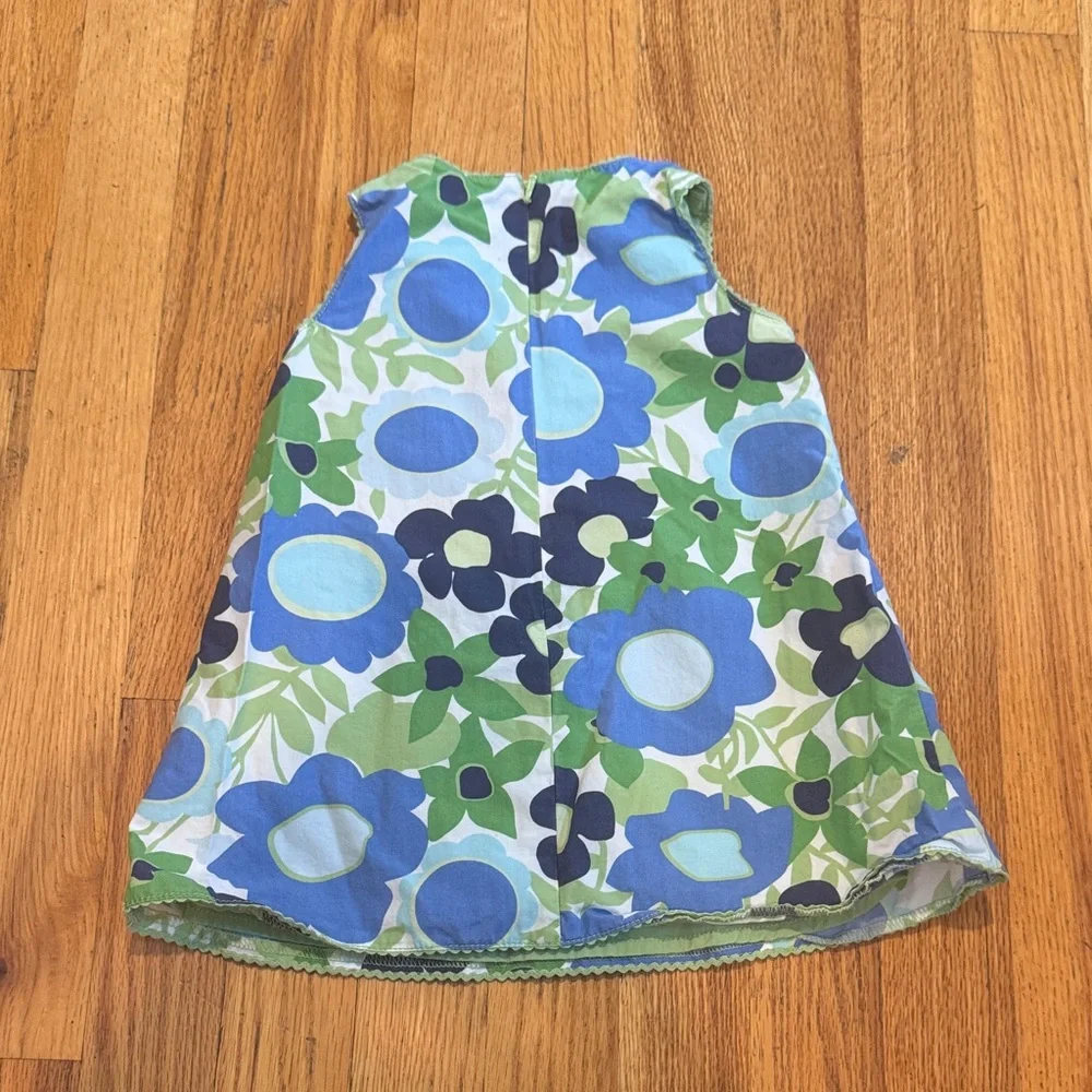 BabyGap Blue and Green Floral Dress Size 6-12 Months